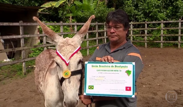 Fantástico desmascara empresa que vendeu título de melhores gestores para autoridades de Santa Cruz do Capibaribe