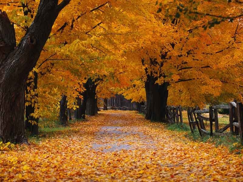 beautiful autumn season wallpaper hd beautiful autumn season wallpaper ...