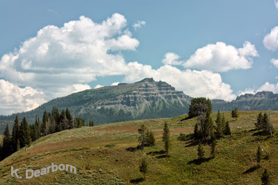http://theearthminute.blogspot.com/2014/11/discover-mountain-wildflowers-in-wyoming.html