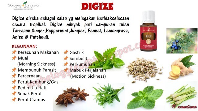 Me & Young Living: DIGIZE