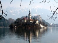 Blejski otok z gradom v ozadju