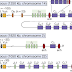 Of Mice and Men: Regeneron v Kymab