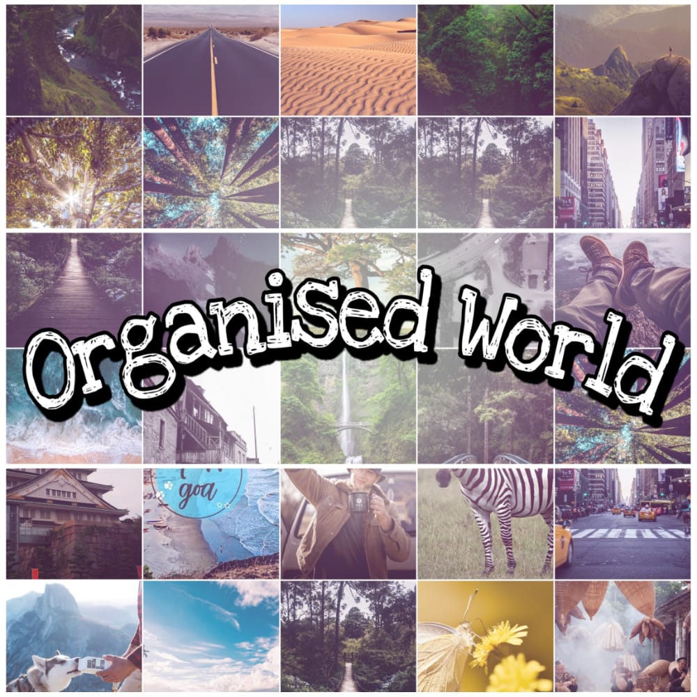Organized world