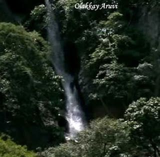 Kanyakumari tours - Olakkay Aruvi Waterfalls 