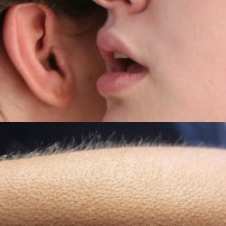 Whisper and Goosebumps Meme Template