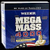 Mega Mass 4000 | Mega Mass Information