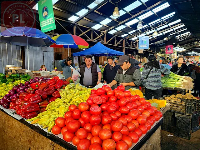 Ruta de las Ferias: sábado 23 de marzo - Feria PAC Osorno