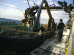 DEACKHAND - FISHING SHIP, TRAWLER 73 FT