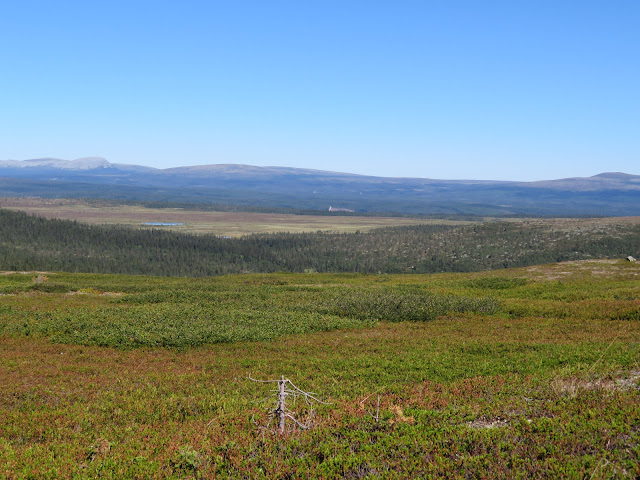 Svensfoskdalen