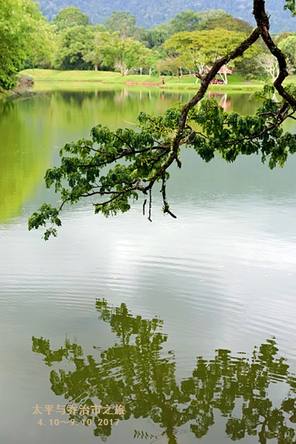 当旅游遇见摄影的时候 太平湖 Taiping Lake Gardens