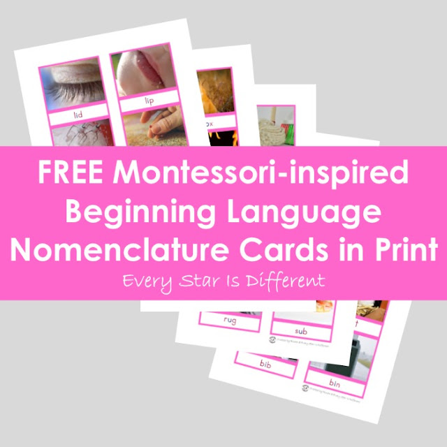 FREE Montessori Beginning Language Pink Series Nomenclature Cards