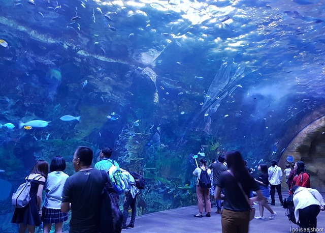 Chimelong Ocean Kingdom in Zhuhai  