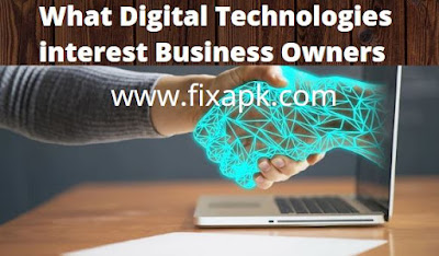 What Digital Technologies interest Business Owners