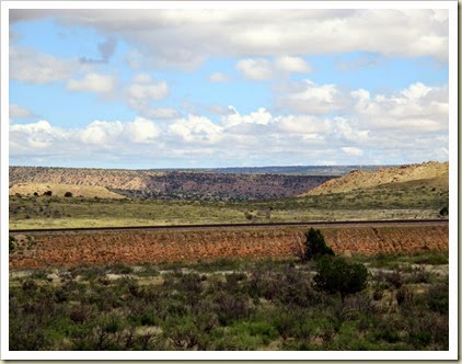 IMG_0558 IMG_0558