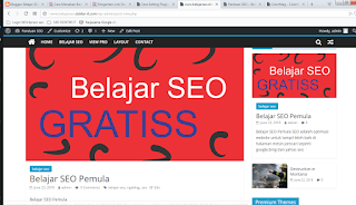 seting seo wordpress