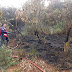    Bomberos y vecinos controlan incendio forestal