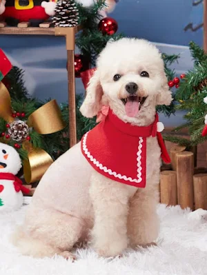 Nada como um look natalino para deixar seu pet pronto para as fotos e para receber os convidados! Aposte em roupinhas temáticas, como suéteres com renas, gorros de Papai Noel e até mesmo uma capa de duende. Mas, claro, sempre respeitando o conforto e o estilo único do seu bichinho. Quem disse que os animais não têm fashion sense?