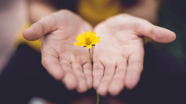 Guru Purnima