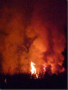 fire 077