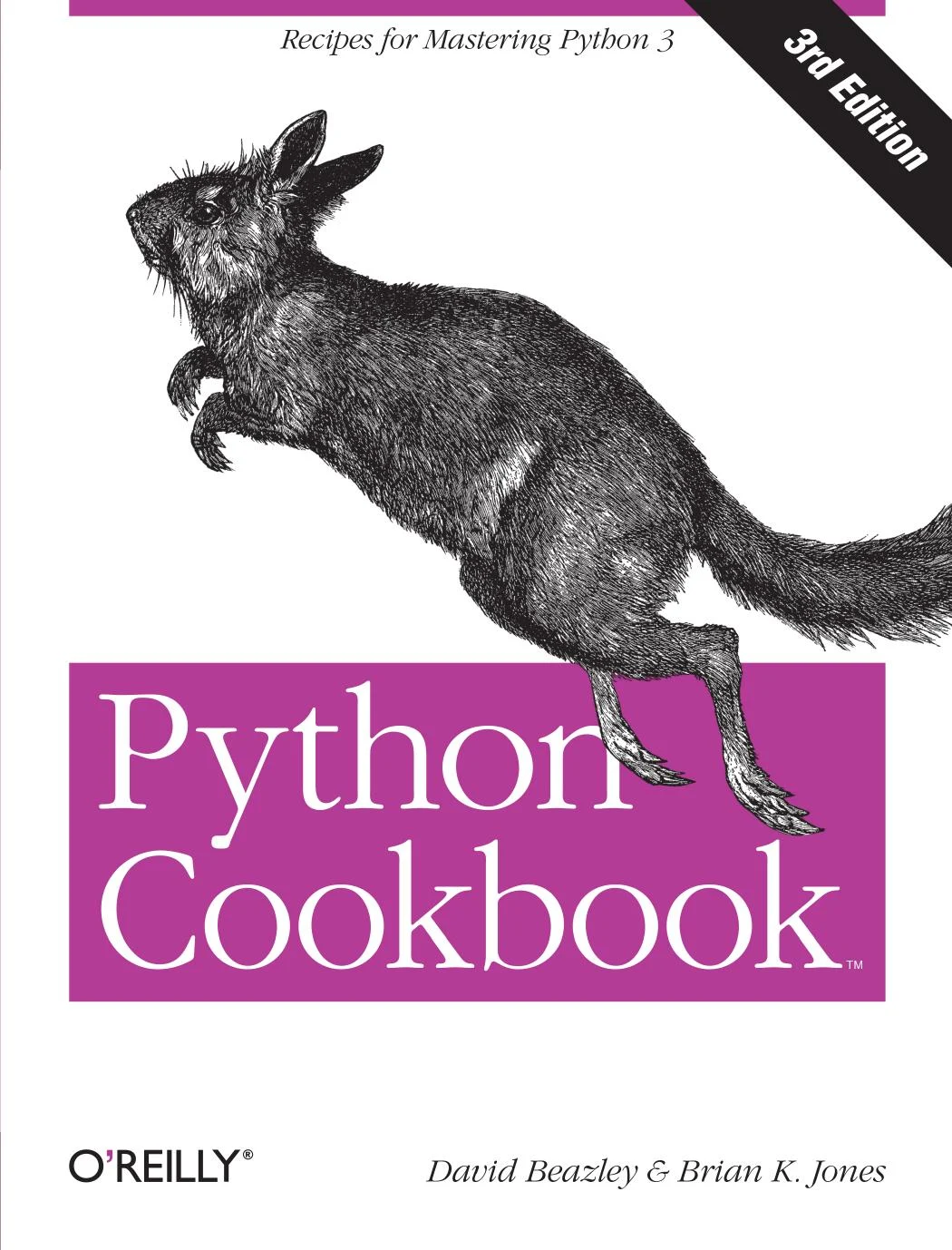 Download Python Cookbook 3rd Edition PDF