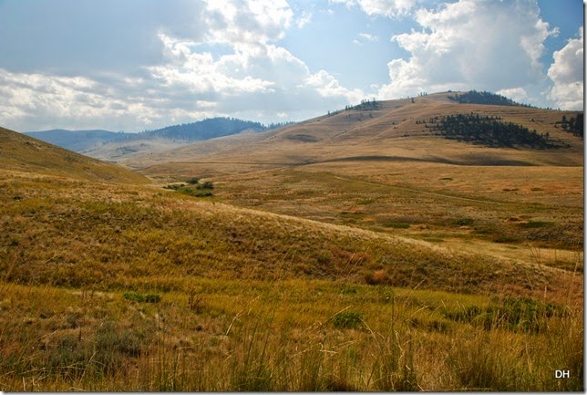 08-19-14 A National Bison Range (97)