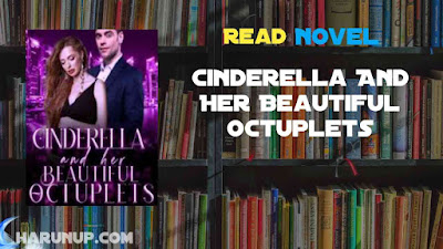 Read Cinderella And Her Beautiful Octuplets Novel Full Episode