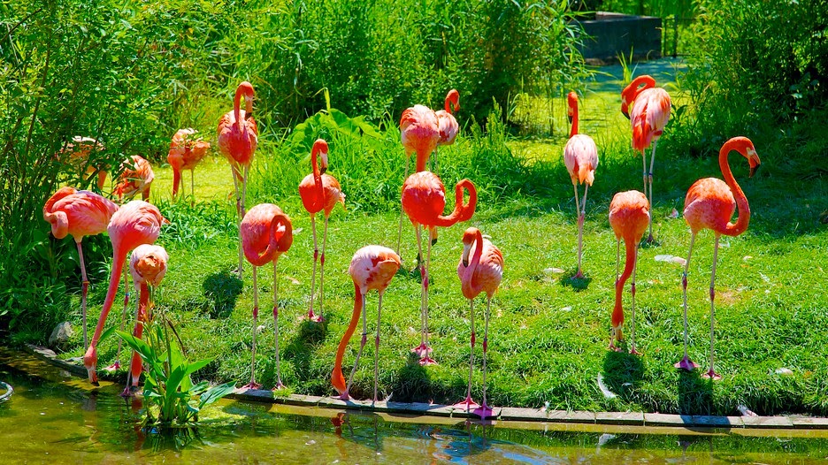 10 of the World's Most Famous Zoos - Toronto Zoo, Ontario, Canada