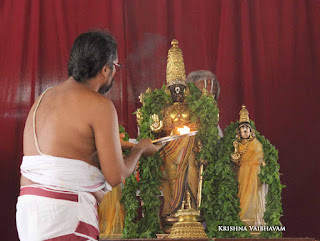 Sri Parthasarathy Perumal, Dhavana Utsavam, Thirumanjanam, Purappadu,  Triplicane,  Purappadu, Thiruvallikeni, Utsavam, 