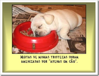 image0066
