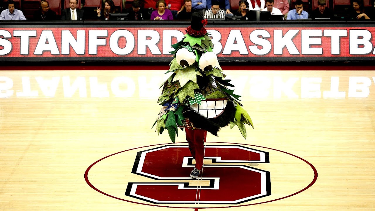Stanford Tree - Stanford Trees