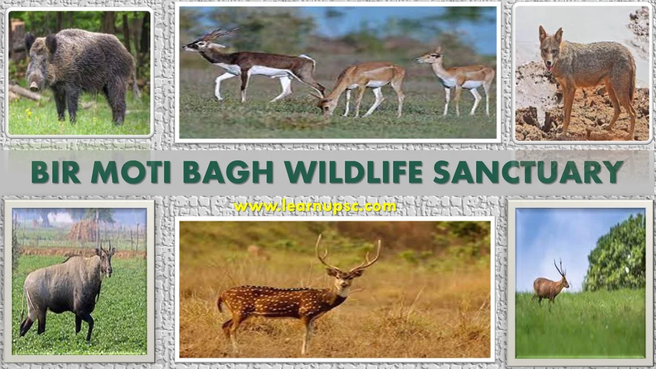 Bir Moti Bagh Wildlife Sanctuary