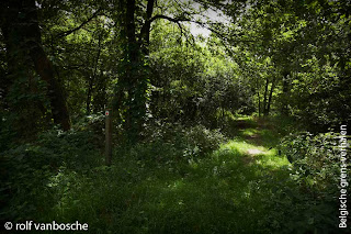 Natuurpracht in Kempen-Broek