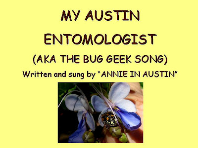 My Austin Entomologist,AnnieinAustin