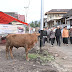 Gubernur Mahyeldi Tebar Qurban di Daerah Pascabencana dan Serukan Pentingnya Kepedulian Sosial Antarsesama