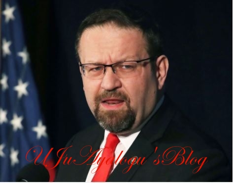 Trump's Security Adviser Gorka Quits White House