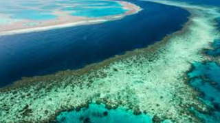 Barrier reefs