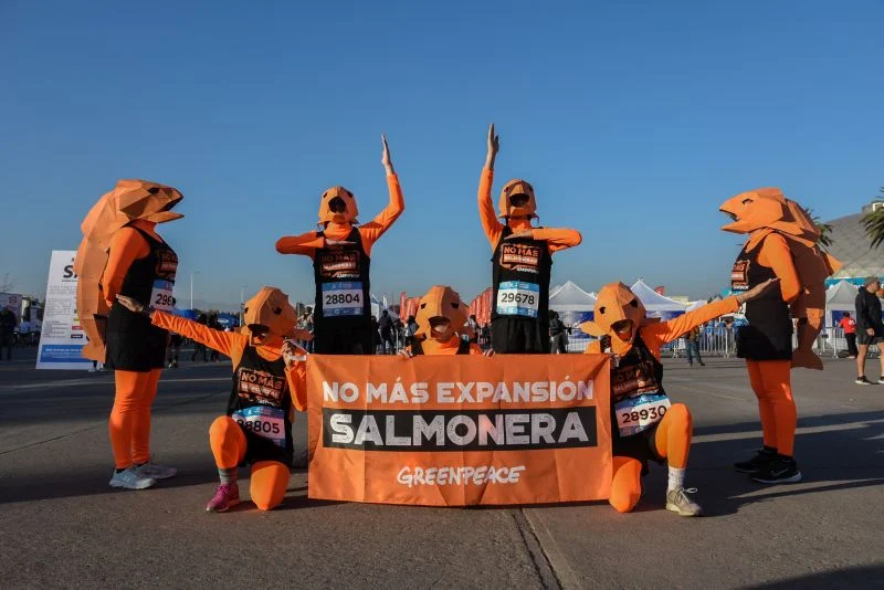 Activistas de Greenpeace corren en Maratón de Santiago simulando un escape de salmones