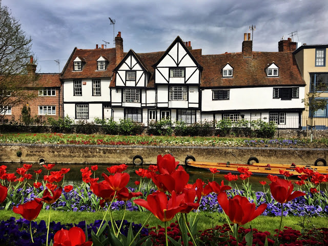 Canterbury in Bloom