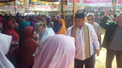 Ustad Solmed, Kampanye Arinal dan Kekecewaan Warga