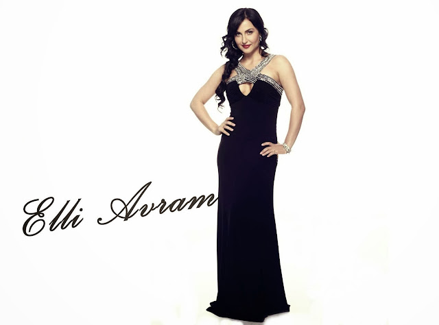 Elli Avarm HD Wallpaper Free