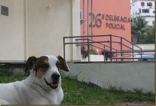 Toby o Cão da 26 DP