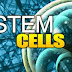 මුලික සෛල (Stem cells) සහ මුලික සෛල චිකිත්සාව පිළීබඳව දැනගනිමු...........