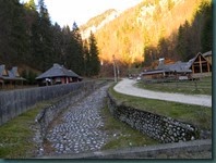 DSCN9017