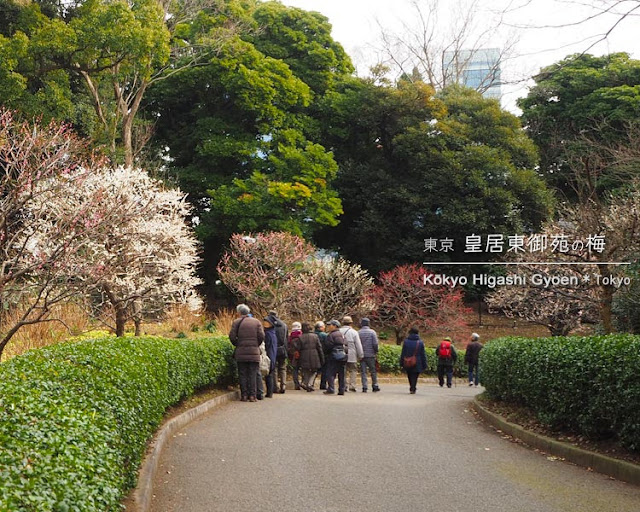 皇居東御苑の