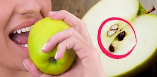 Apple Seeds Contain Cyanide