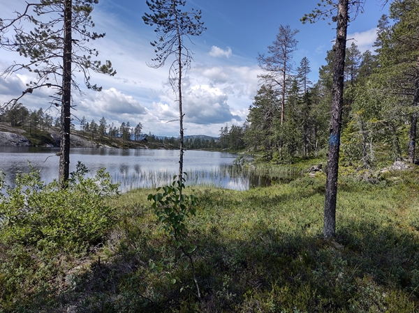 hallingdal flå turufjell stolpejakt