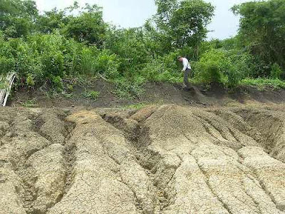 black cotton soil