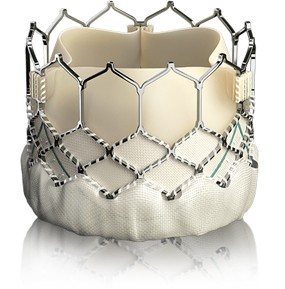 Transcatheter Heart Valve