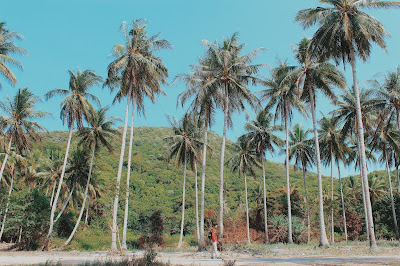 karimunjawa, budget ke karimunjawa,foto foto karimunjawa, 4 hari di karimunjawa, info karimunjawa, backpakeran ke karimunjawa, ke karimunjawa butuh uang berapa?