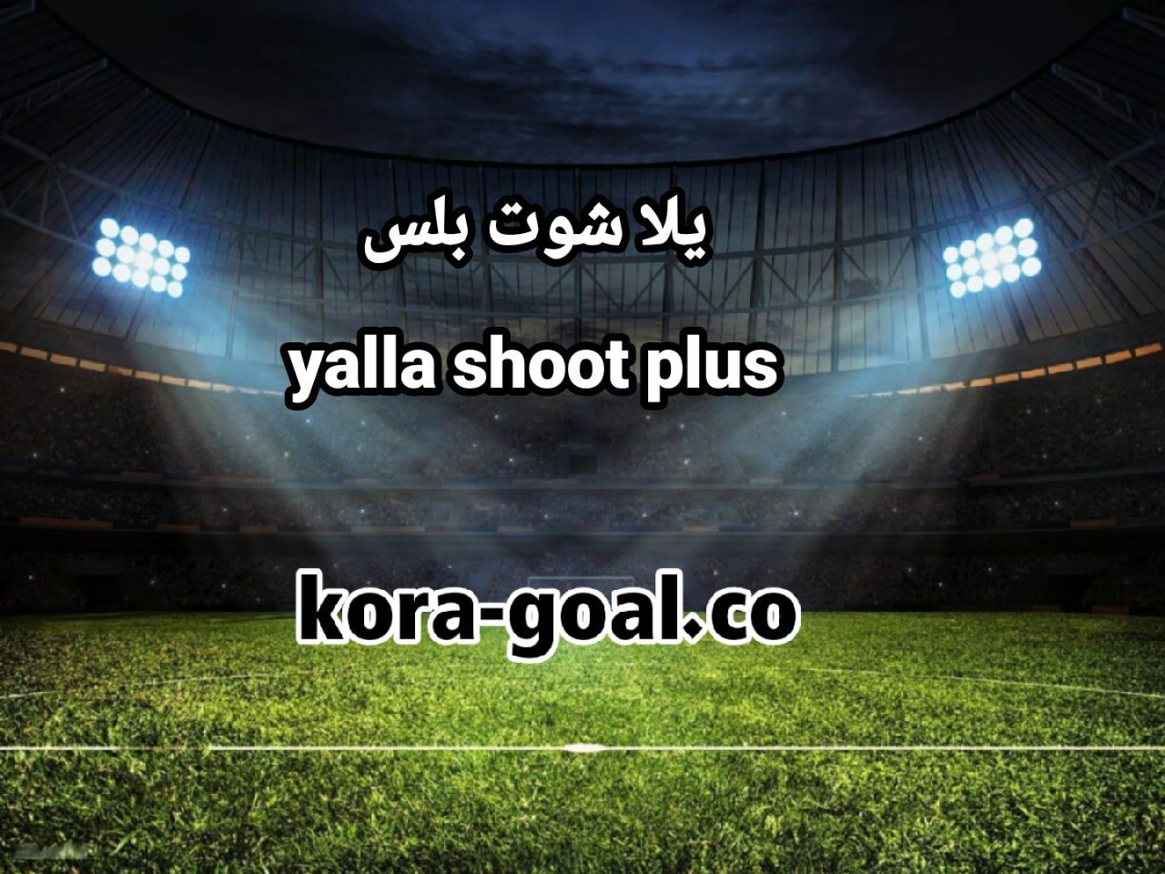 يلا شوت بلس : yalla shoot plus : يلا شوت بلاس بث مباشر اهم مباريات اليوم
